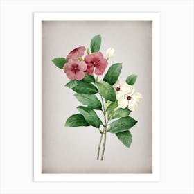 Vintage Periwinkle Botanical on Parchment n.0470 Art Print