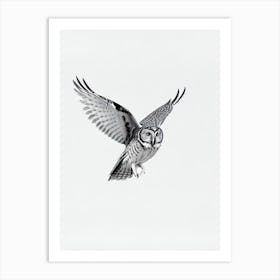 Owl B&W Pencil Drawing 2 Bird Art Print
