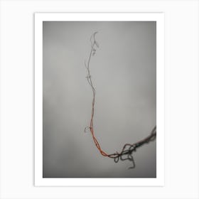 Vine In The Fog Against The Gray Sky. Minimalism Art Print