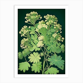 Meadow Rue Wildflower Vintage Botanical Art Print