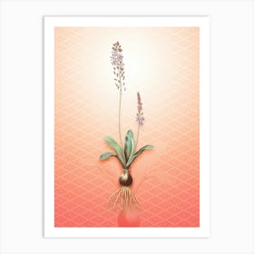 Scilla Obtusifolia Vintage Botanical in Peach Fuzz Hishi Diamond Pattern n.0280 Art Print