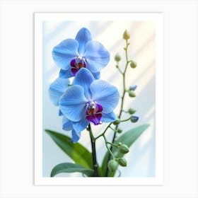 Whispers Of Orchids 1. Flower Art Print