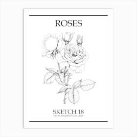 Roses Sketch 18 Poster Art Print