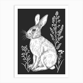 Beveren Rabbit Minimalist Illustration 1 Art Print