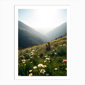 Daisies In The Mountains Art Print