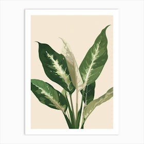 Dieffenbachia Plant Minimalist Illustration 4 Art Print