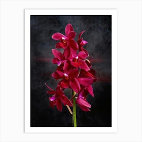 Red Orchids In Full Bloom Against A Dark Moody Background Mid Explosion Creating An Ethereal Cloud Art Print