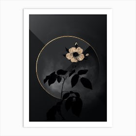 Shadowy Vintage Big Leaved Climbing Rose Botanical in Black and Gold n.0023 Art Print