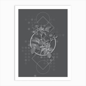 Vintage Short Styled Field Rose Botanical with Line Motif and Dot Pattern in Ghost Gray n.0222 Art Print