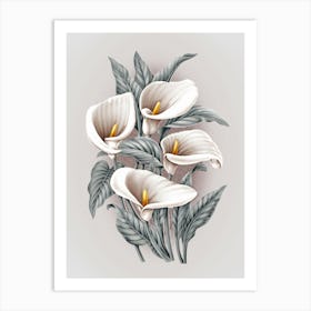 Calla Lily 4 Art Print