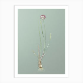 Vintage Allium Foliosum Botanical Art on Mint Green n.0759 Art Print