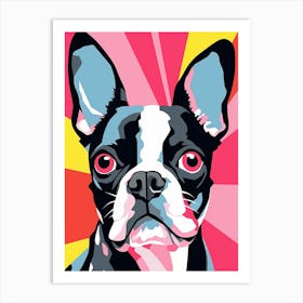 Bright Pop Art Boston Terrier 1 Art Print