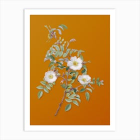 Vintage Reddish Rosebush Botanical on Sunset Orange Art Print