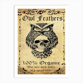 Owl Feathers, Halloween Poster Art Print