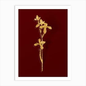 Vintage Siberian Iris Botanical in Gold on Red n.0281 Art Print