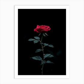 Dark Rose 35 Art Print