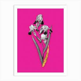 Vintage Elder Scented Iris Black and White Gold Leaf Floral Art on Hot Pink n.0235 Art Print