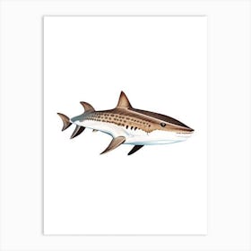 Epaulette Shark 2 Vintage Art Print