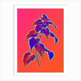 Neon White Dead Nettle Plant Botanical in Hot Pink and Electric Blue n.0296 Art Print