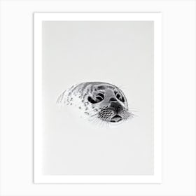 Ringed Seal Black & White Drawing Art Print