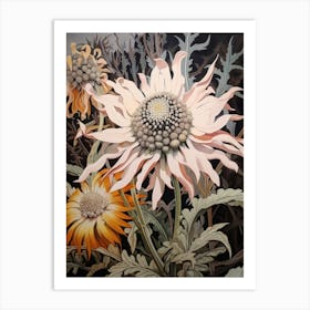 Flower Illustration Edelweiss 3 Art Print