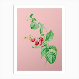 Vintage Red Berries Botanical on Soft Pink n.0133 Art Print