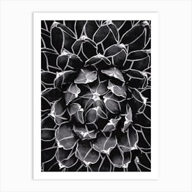 Cactus Flower Heart II Art Print