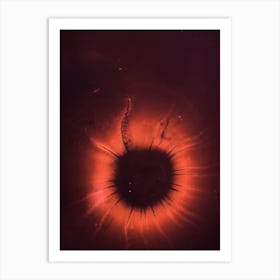 Eye Of Venus Art Print