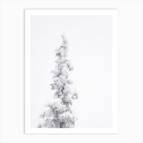 Snow Covered Tree Art Print