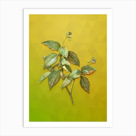 Vintage Tradescantia Erecta Botanical Art on Empire Yellow n.0767 Art Print