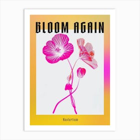 Hot Pink Nasturtium 3 Poster Art Print