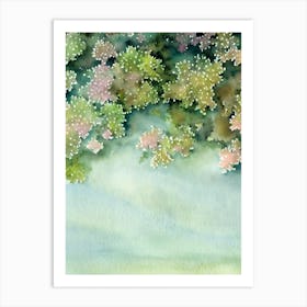 Acropora Hoeksemai Storybook Watercolour Art Print