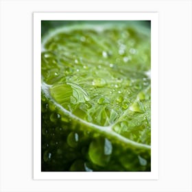 Water Droplets On Lime 3 Art Print