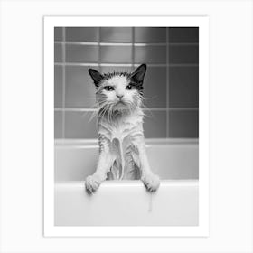 Cat In The Bath 2 Art Print