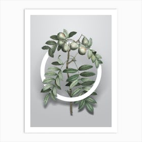 Vintage Service Tree Minimalist Botanical Geometric Circle on Soft Gray n.0524 Art Print