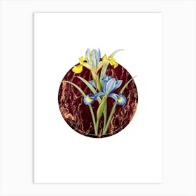 Vintage Spanish Iris Botanical in Gilded Marble on Clean White Art Print
