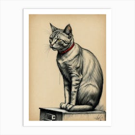 Cat Sitting On A Box Art Print