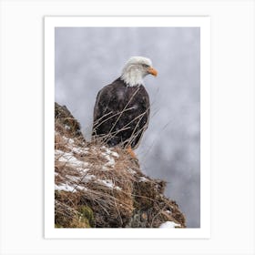 Snowy Winter Bald Eagle Art Print