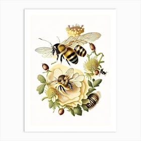 Bees 1 Vintage Art Print