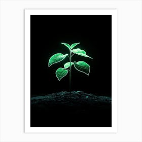 Green Plant On Black Background 3 Art Print