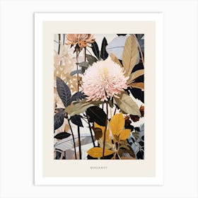 Flower Illustration Bergamot 1 Poster Art Print