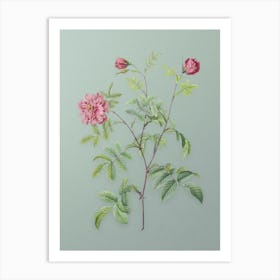 Vintage Cinnamon Rose Botanical Art on Mint Green n.0512 Art Print