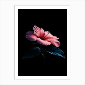 Hibiscus Flower 3 Art Print