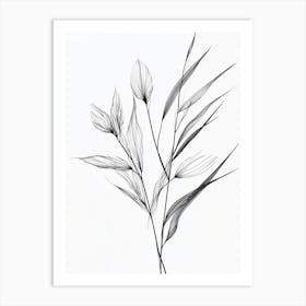 Black And White Drawing Of A Plant Art Print