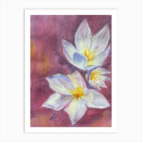 Img 5884 White crocuses, watercolor Art Print