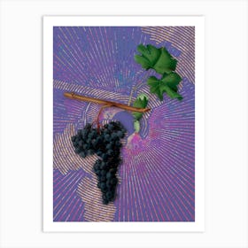 Vintage Dolcetto Grapes Botanical Illustration on Veri Peri Art Print