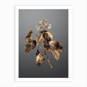 Gold Botanical Climbing Hydrangea on Soft Gray n.2619 Art Print