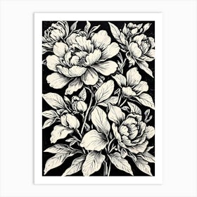 Peonies 3 Art Print