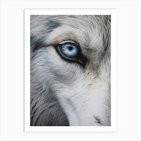 Tundra Wolf Eye 2 Art Print