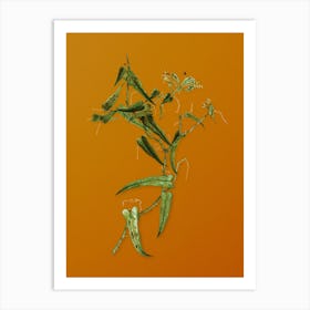 Vintage Rough Bindweed Botanical on Sunset Orange n.0590 Art Print